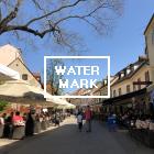 지혜상품_단일상품보기