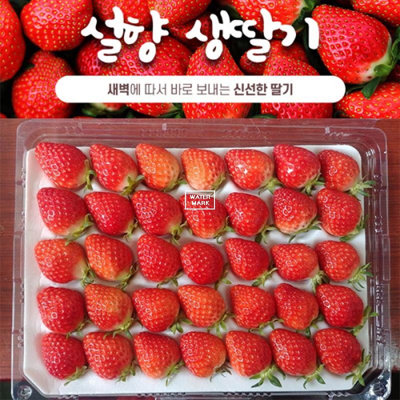 (해담영농) 통영산 설향 생딸기 700g 상품