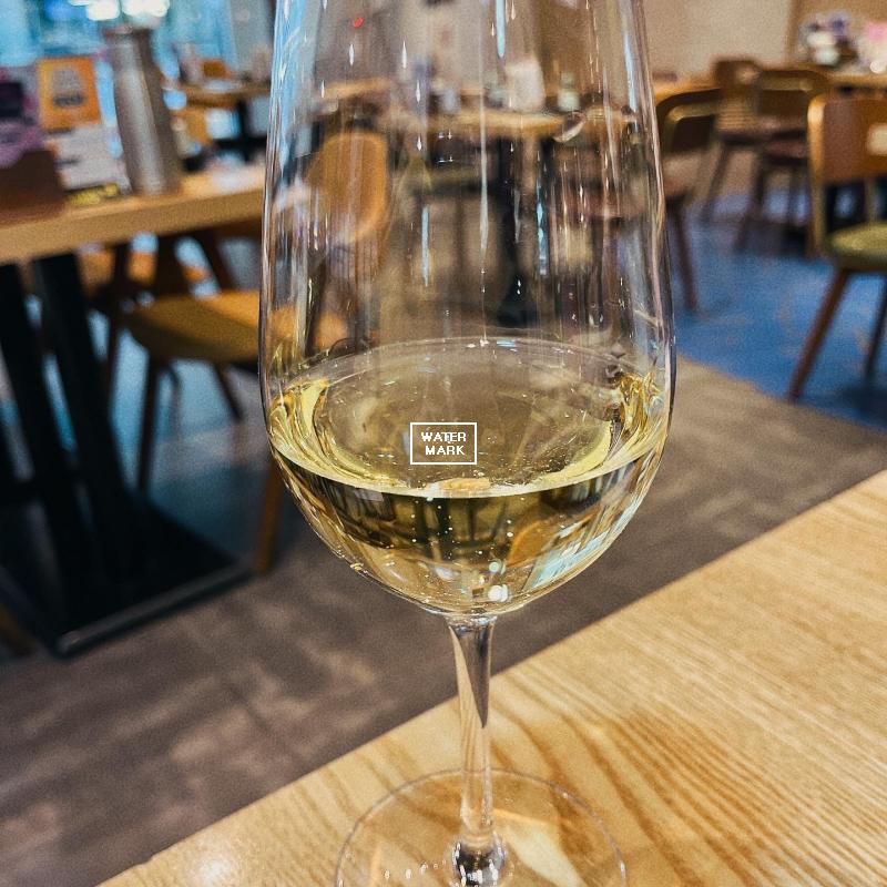 지혜와인2 (일반)